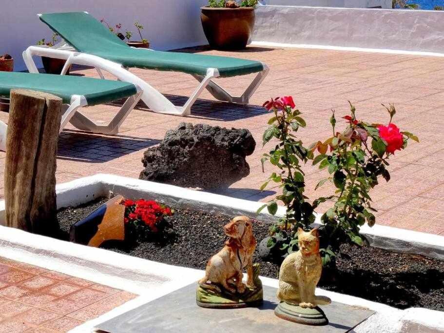 Casa Descanso Con Jacuzzi En Плая-Кемада Экстерьер фото